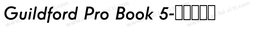 Guildford Pro Book 5字体转换
